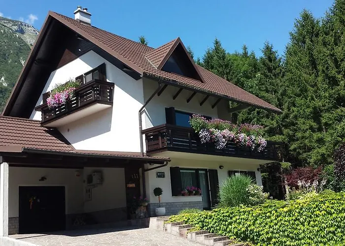 Homestay Ostan